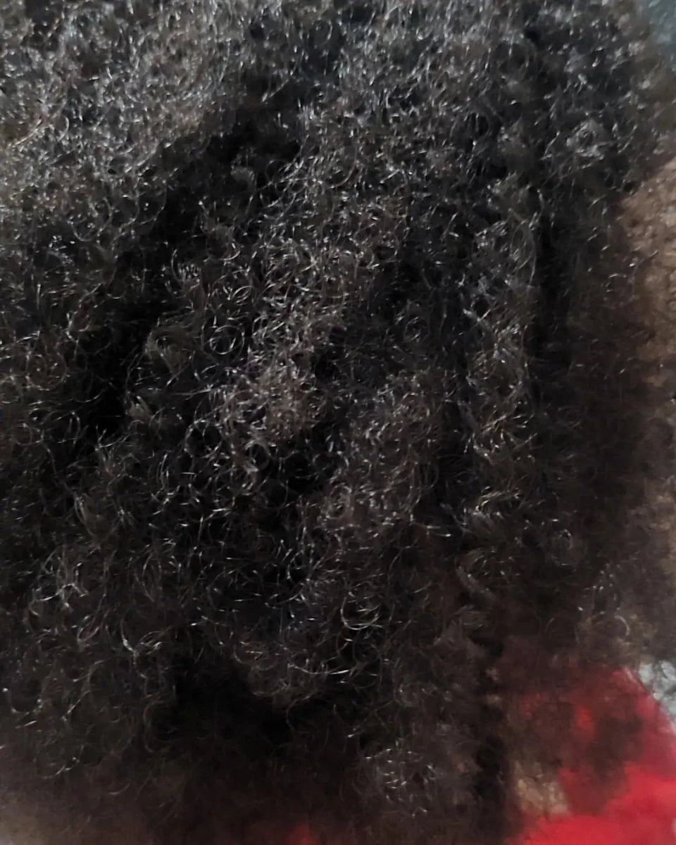 perruque afro frisée synthétique crepus and co