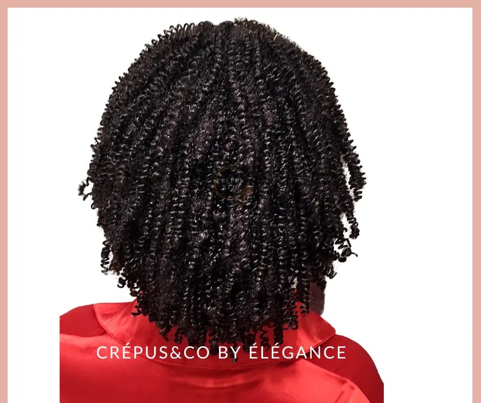 Extension capillaire Inaya, queue de cheval frisée 3C-4C avec peignes intégrés pour coiffure rapide
